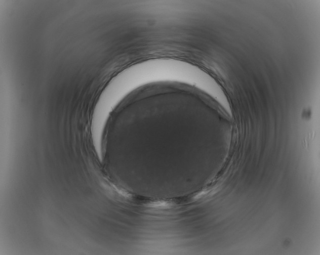 X0000091950237200709201329