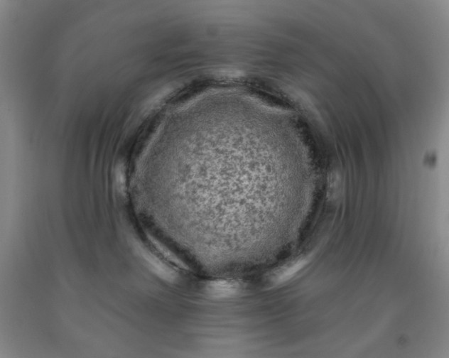 X0000091950238200709201329