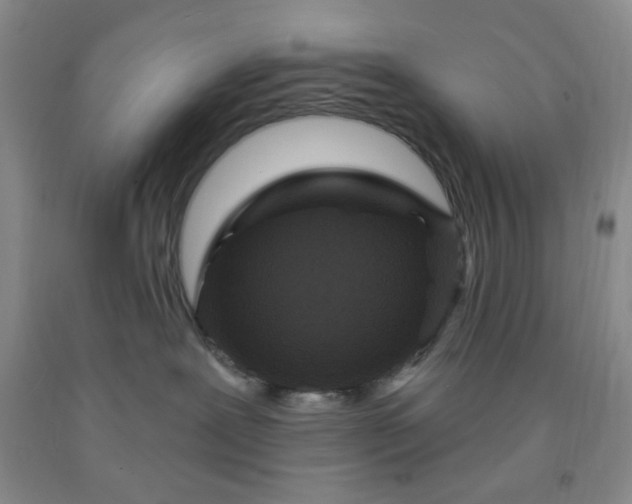 X0000091950239200709201329