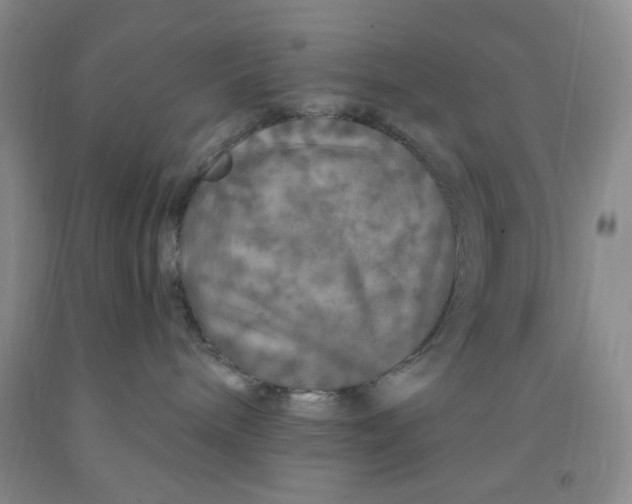 X0000091950240200709201329