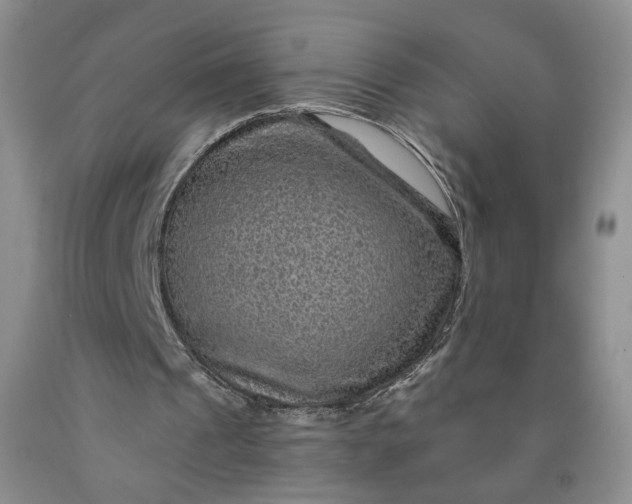 X0000091950241200709201328