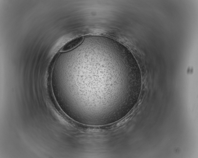 X0000091950242200709201328