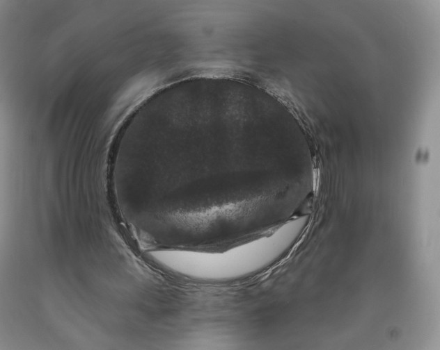 X0000091950243200709201328