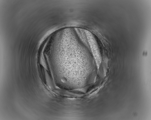 X0000091950244200709201328