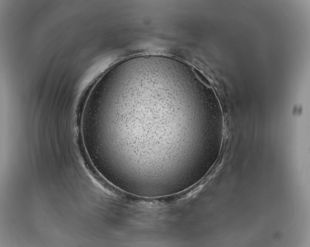 X0000091950245200709201328