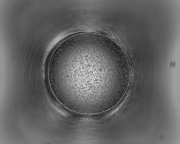 X0000091950246200709201328