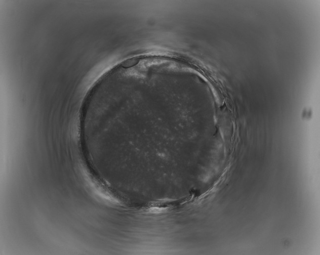 X0000091950247200709201328