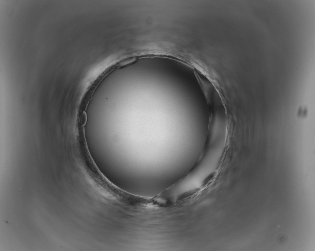 X0000091950248200709201328