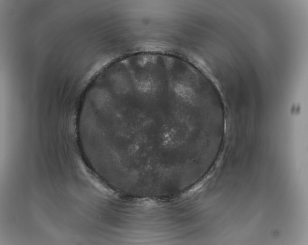 X0000091950249200709201328