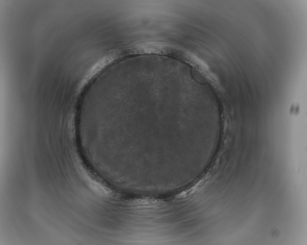 X0000091950250200709201328