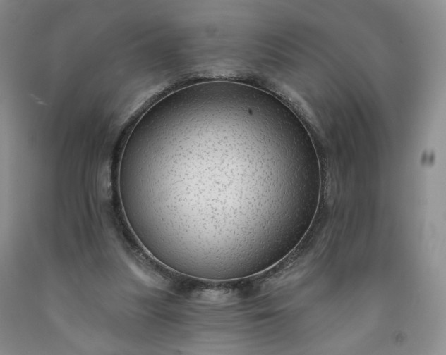 X0000091950251200709201328