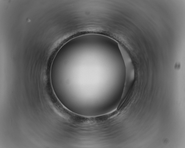 X0000091950252200709201328