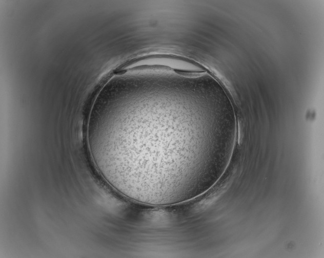 X0000091950253200709201328