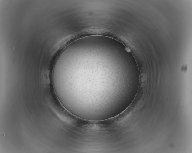 X0000091950254200709201328