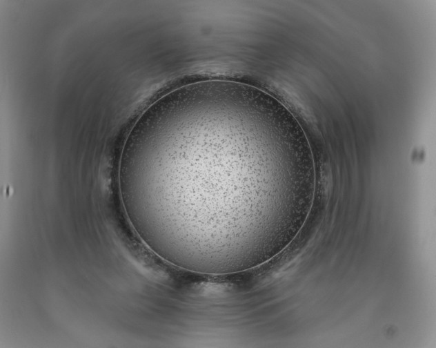 X0000091950255200709201328