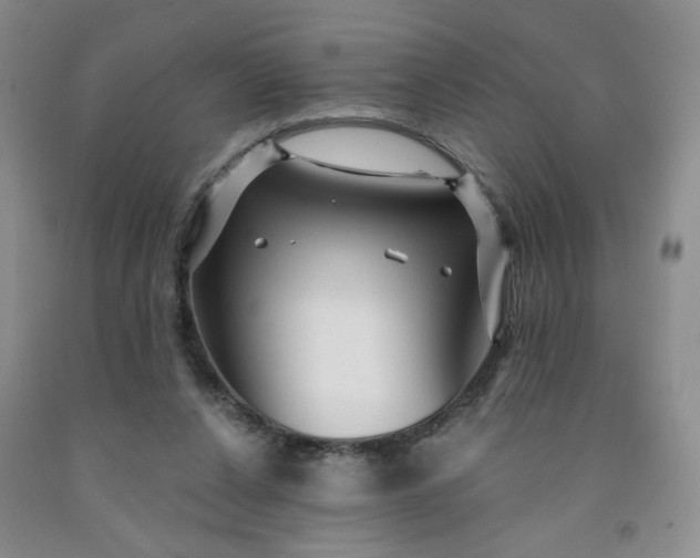 X0000091950256200709201328