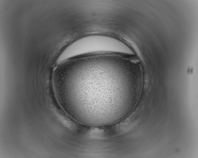 X0000091950257200709201328