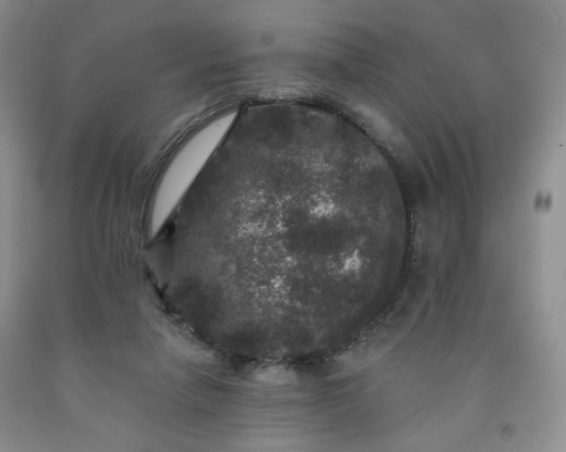 X0000091950258200709201328