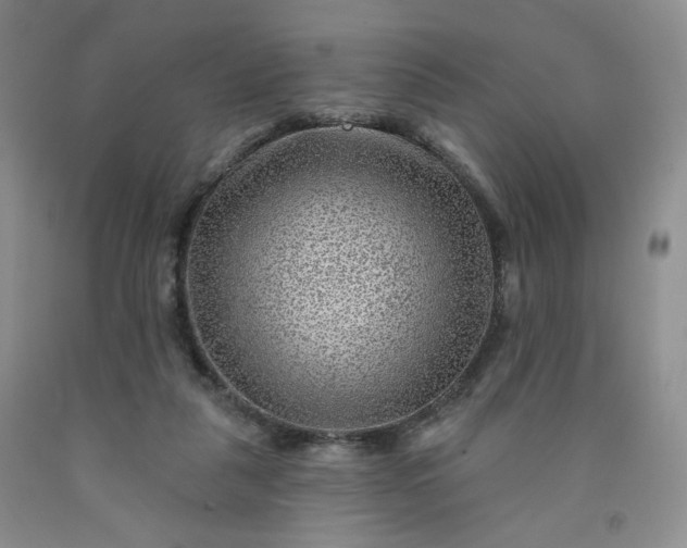 X0000091950259200709201328