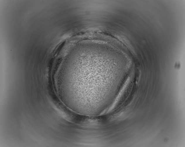 X0000091950260200709201328