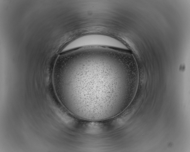 X0000091950261200709201328