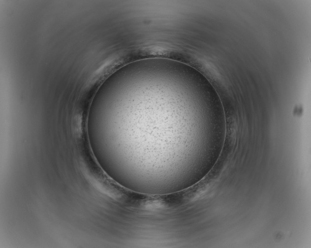 X0000091950262200709201328