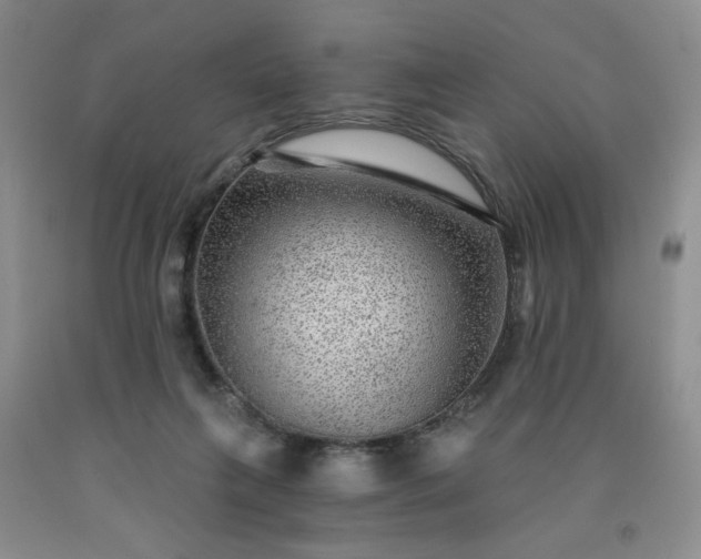 X0000091950263200709201328