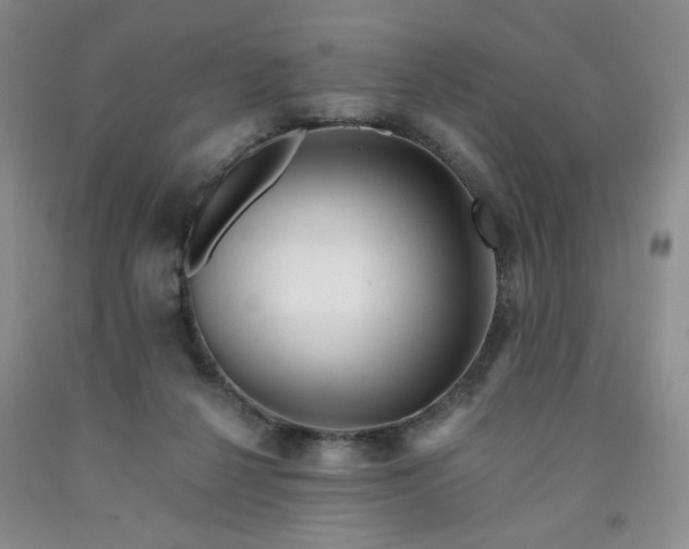 X0000091950264200709201328