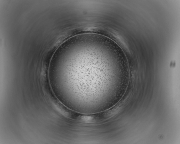 X0000091950265200709201328