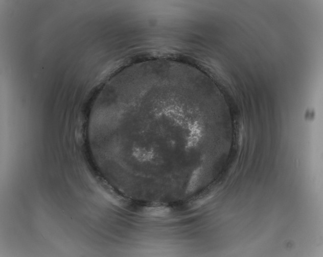 X0000091950266200709201328