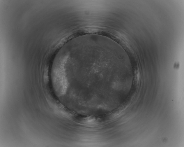 X0000091950267200709201328