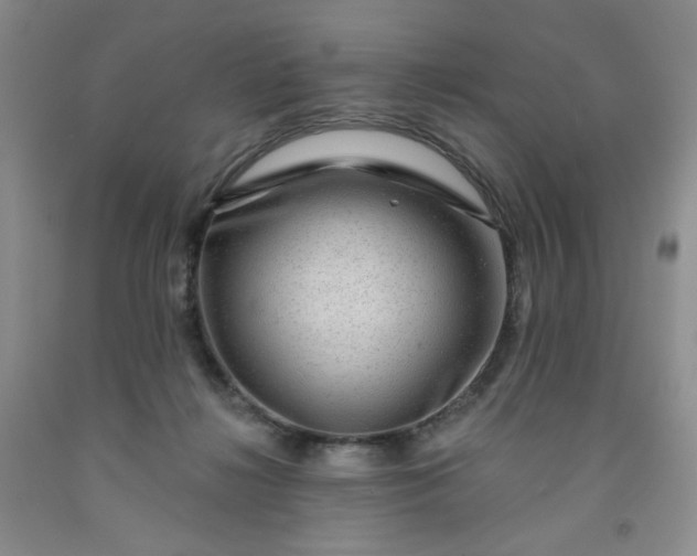 X0000091950268200709201329