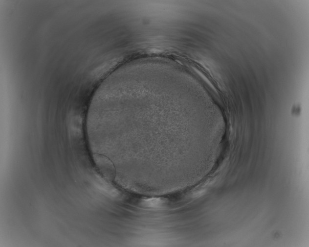 X0000091950269200709201329