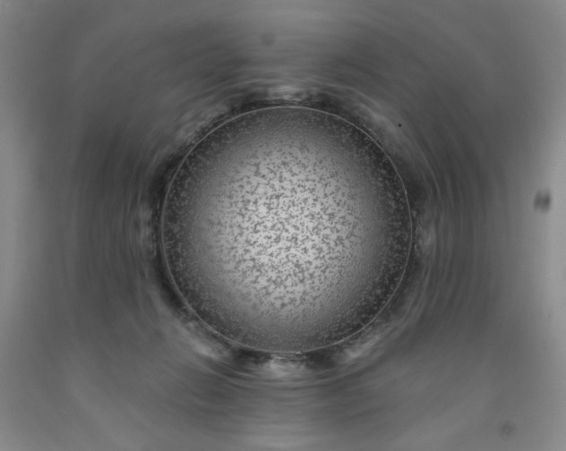 X0000091950270200709201329