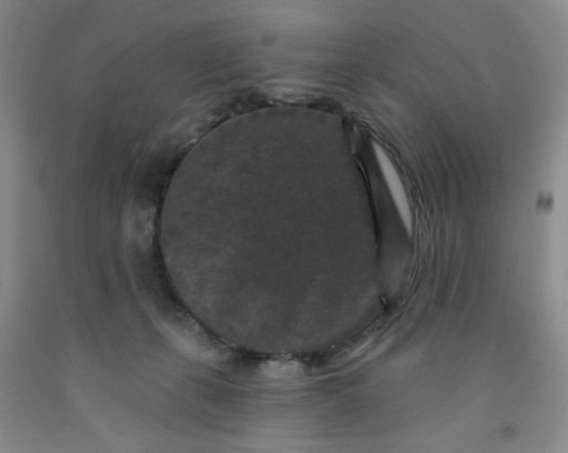 X0000091950271200709201329