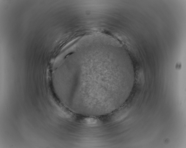 X0000091950272200709201329