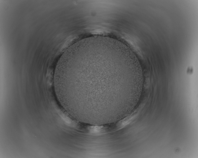 X0000091950273200709201329