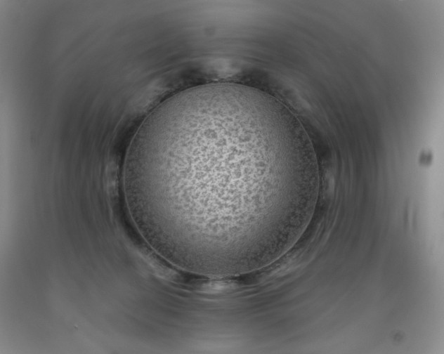 X0000091950274200709201329