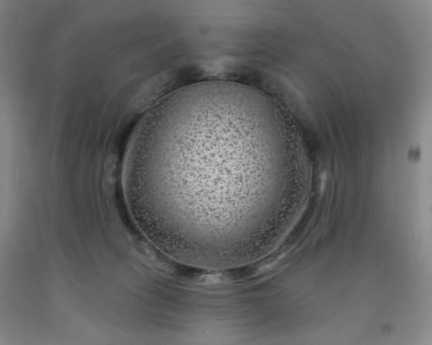 X0000091950275200709201329