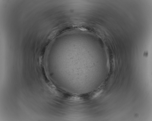 X0000091950276200709201329