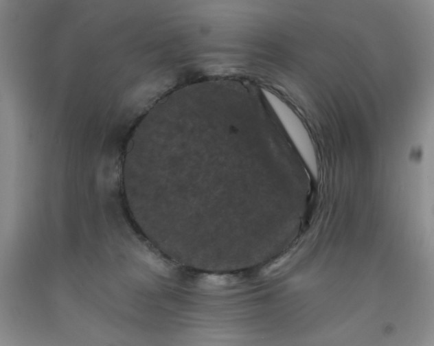 X0000091950277200709201329