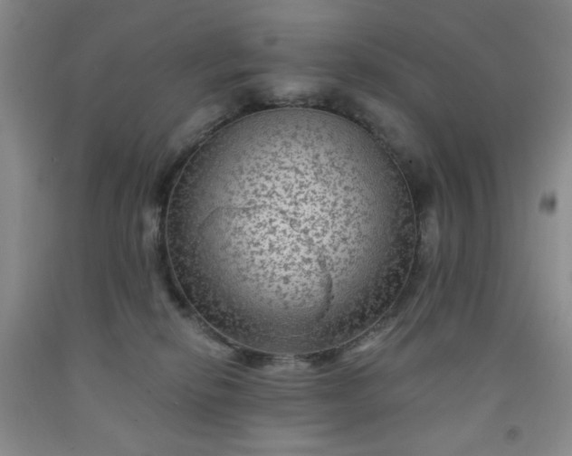 X0000091950278200709201329