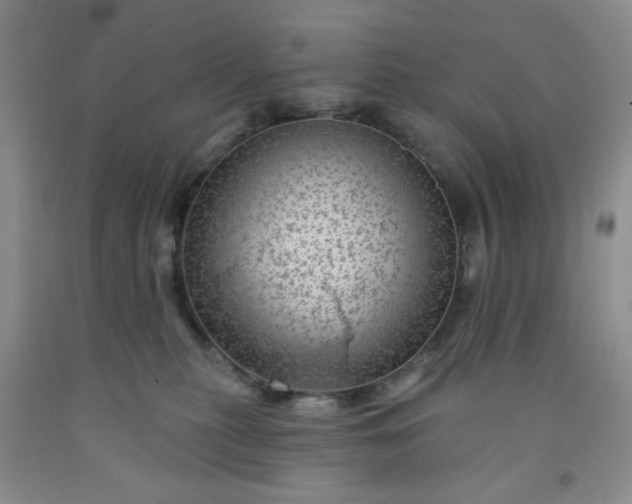 X0000091950279200709201329