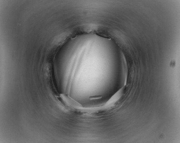 X0000091950280200709201329