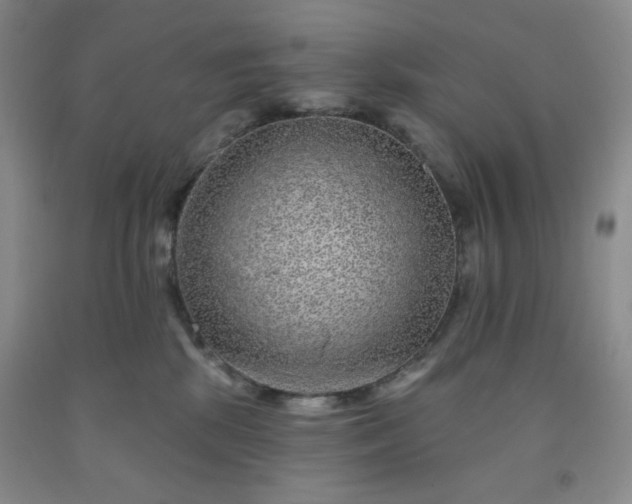 X0000091950281200709201329