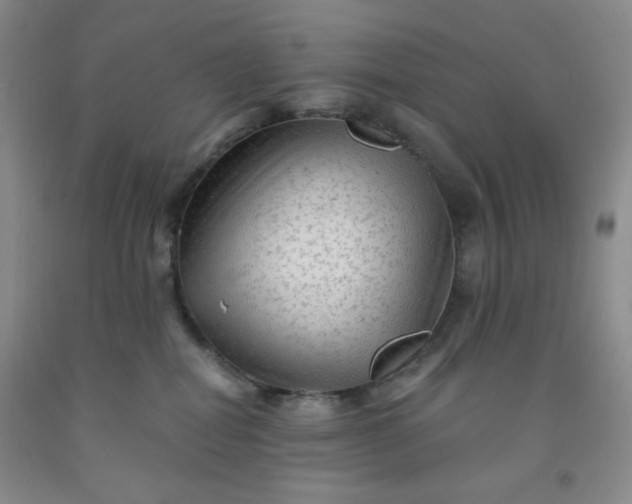 X0000091950282200709201329