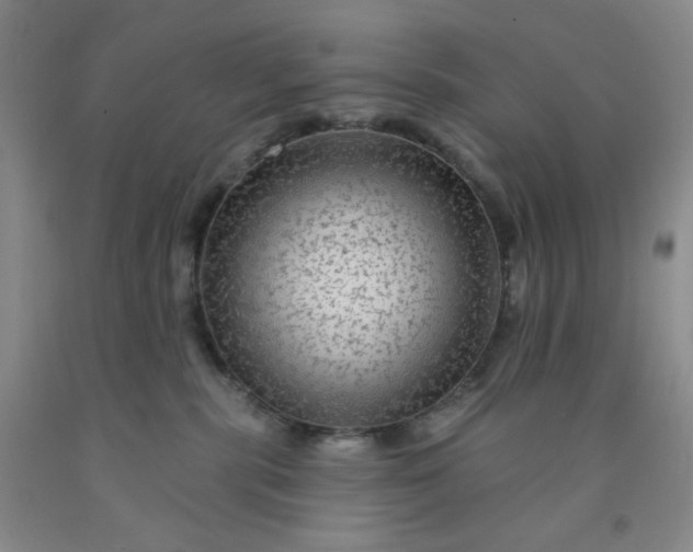 X0000091950283200709201329