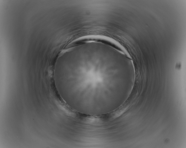 X0000091950284200709201329