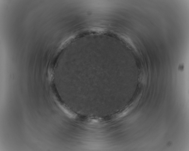 X0000091950285200709201329