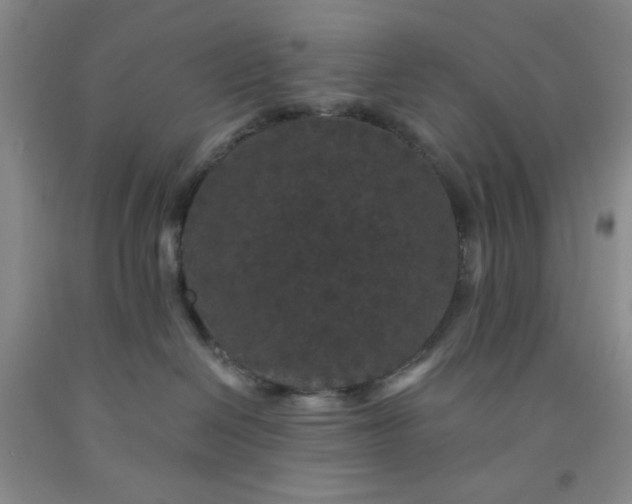 X0000091950286200709201329